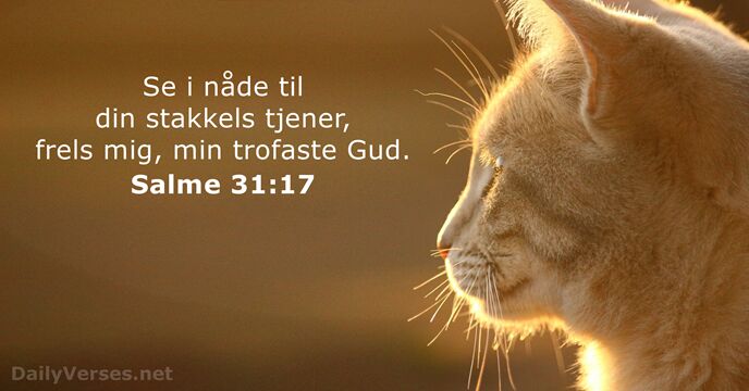 Salme 31:17