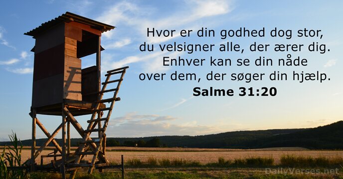 Salme 31:20