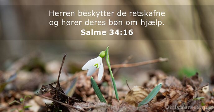 Salme 34:16