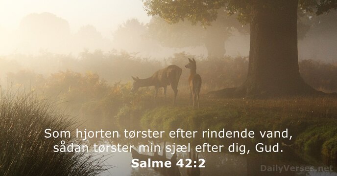 Som hjorten tørster efter rindende vand, sådan tørster min sjæl efter dig, Gud. Salme 42:2