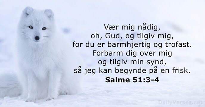 Salme 51:3-4