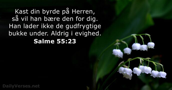 Salme 55:23