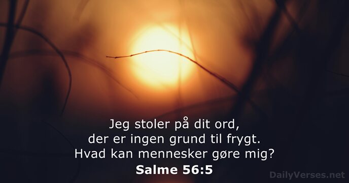 Salme 56:5