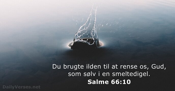 Salme 66:10