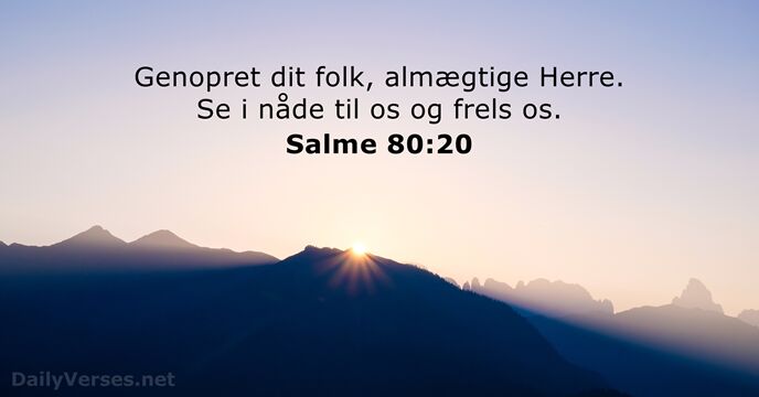 Salme 80:20