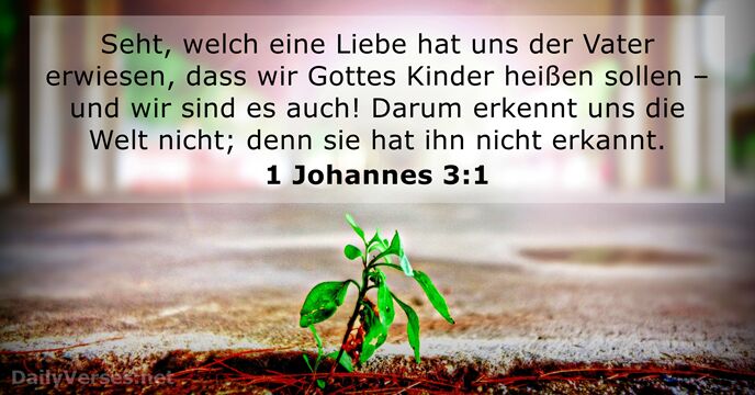 1 Johannes 3:1