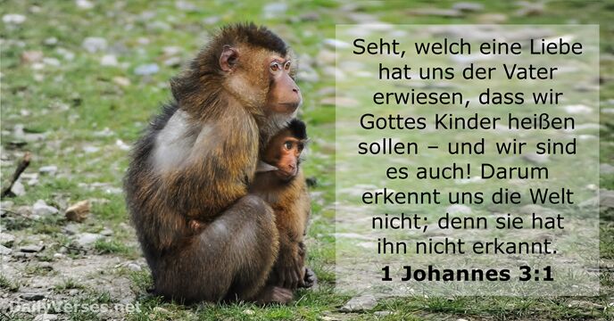 1-johannes 3:1