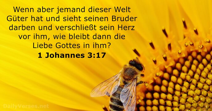 1-johannes 3:17
