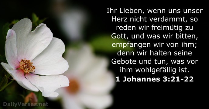 1-johannes 3:21-22