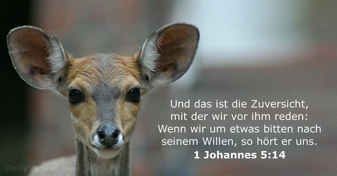 1-johannes 5:14