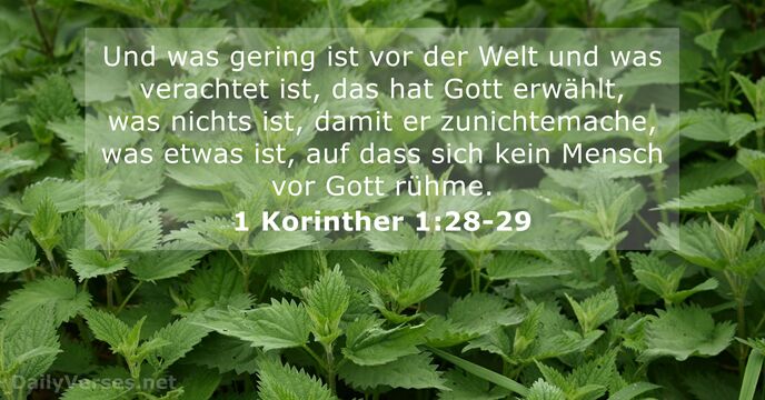 1-korinther 1:28-29