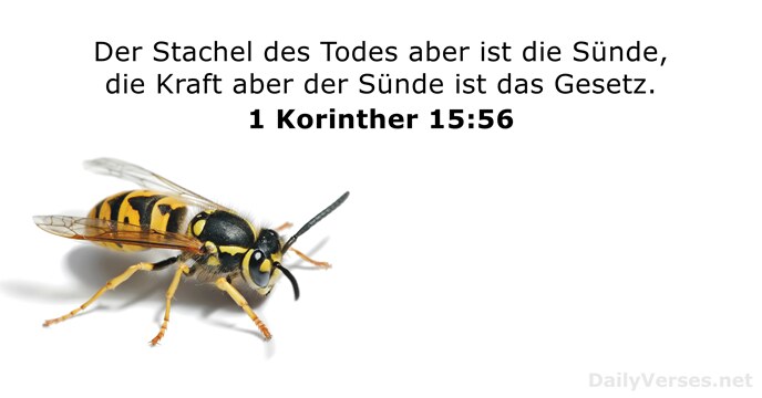 1 Korinther 15:56