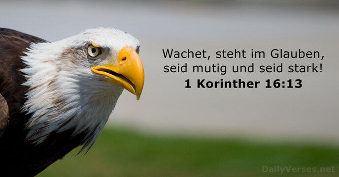 1-korinther 16:13