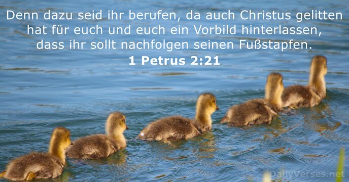 1 Petrus 2:21