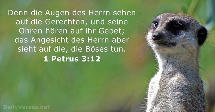 1-petrus 3:12