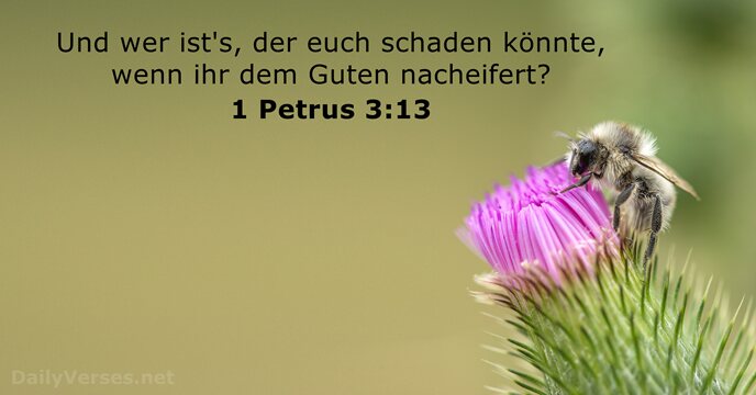 1 Petrus 3:13