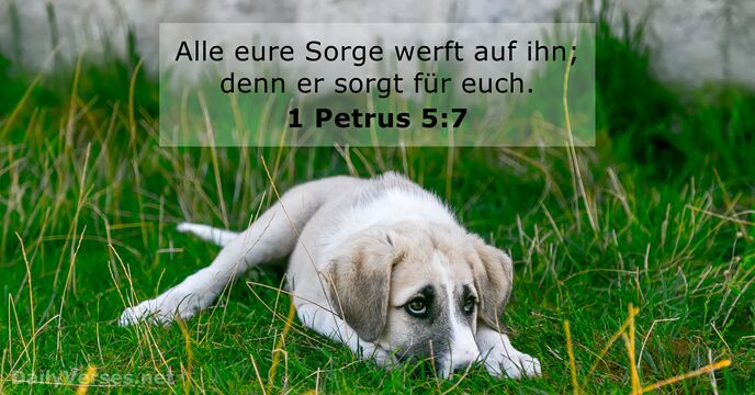 1-petrus 5:7