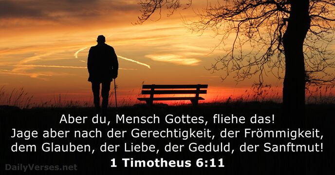 1 Timotheus 6:11