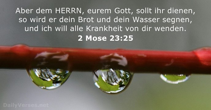 2-mose 23:25