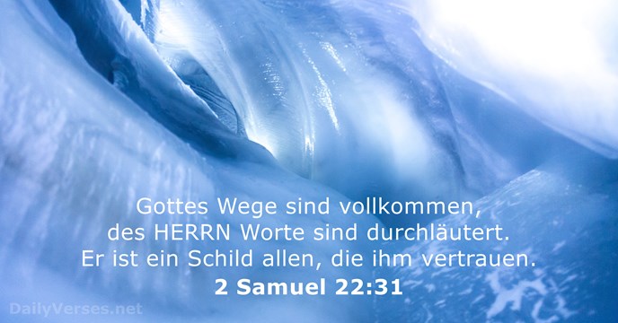 2-samuel 22:31