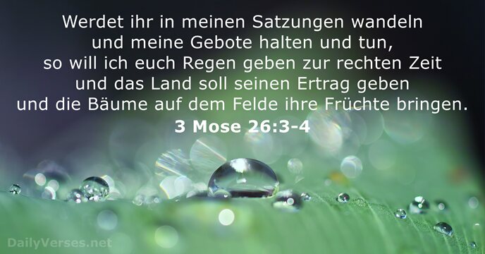 3 Mose 26:3-4