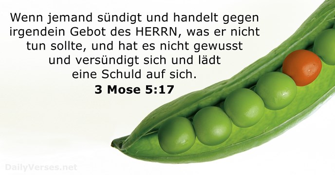 3-mose 5:17