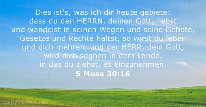 5 Mose 30:16