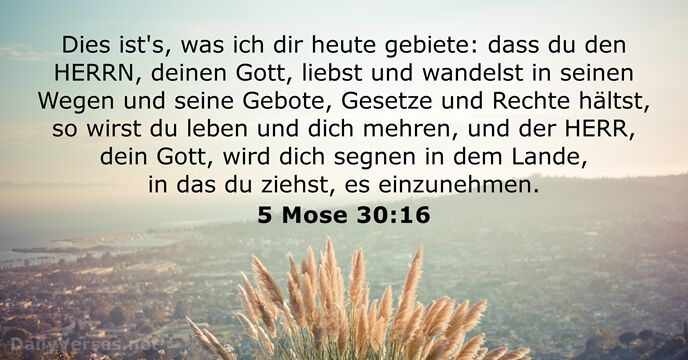 5 Mose 30:16
