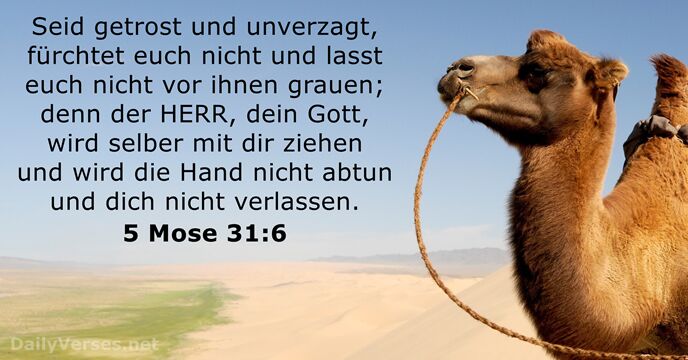 5-mose 31:6