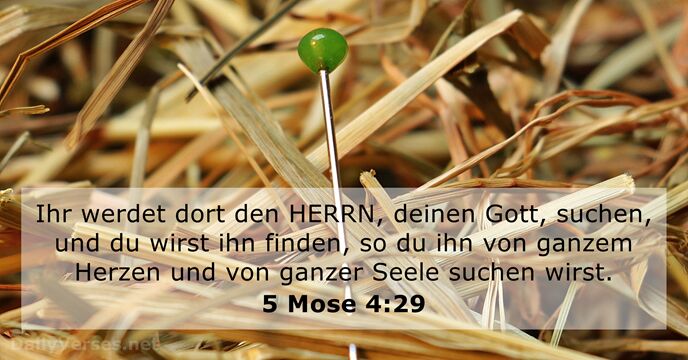 5 Mose 4:29