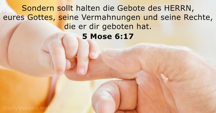 5 Mose 6:17