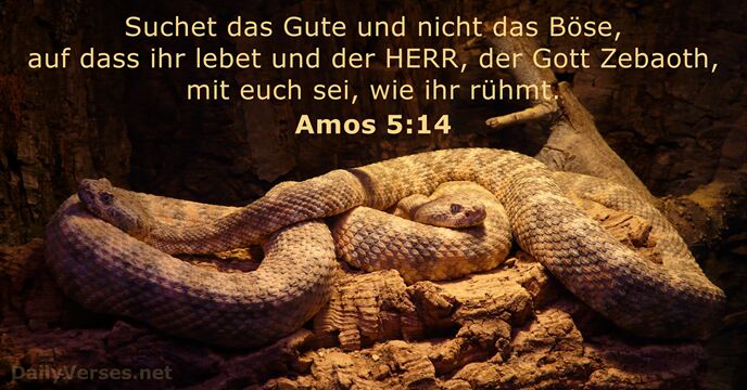 amos 5:14