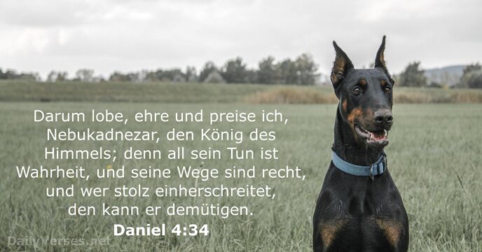 daniel 4:34