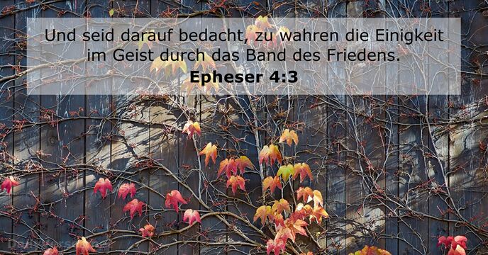 epheser 4:3