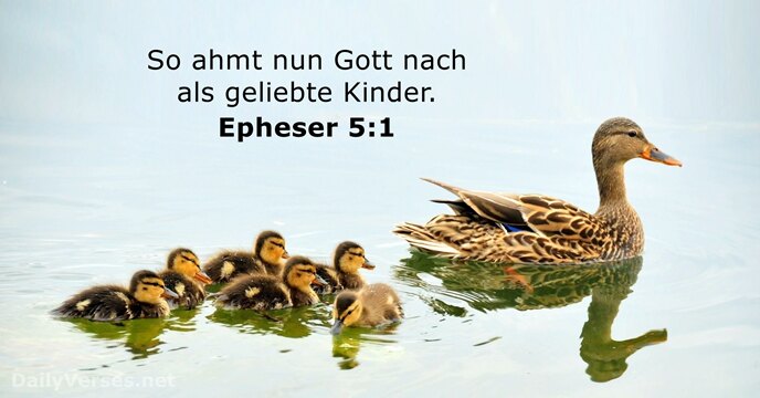 epheser 5:1