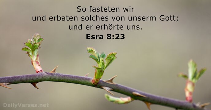 esra 8:23