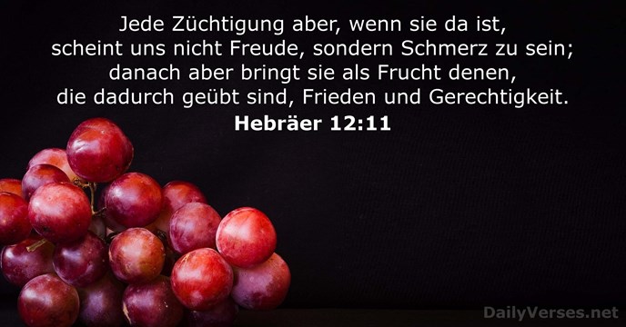 hebraer 12:11