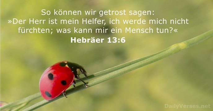 Hebräer 13:6