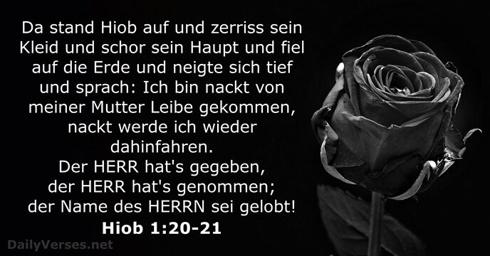 hiob 1:20-21