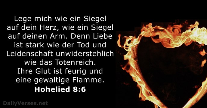 hohelied 8:6