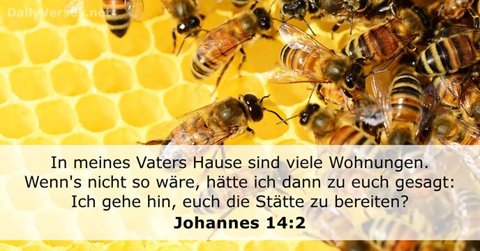 johannes 14:2