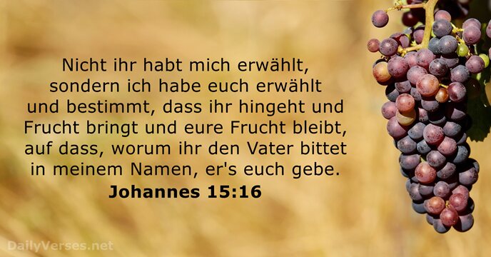 johannes 15:16