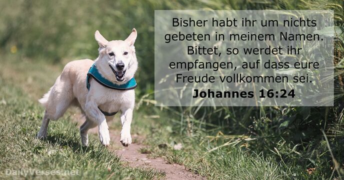 johannes 16:24