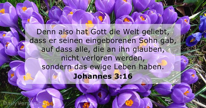 Johannes 3:16