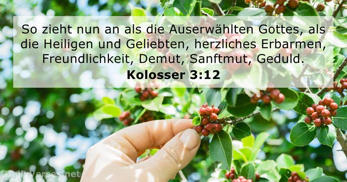 Kolosser 3:12