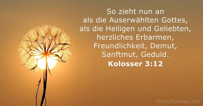Kolosser 3:12