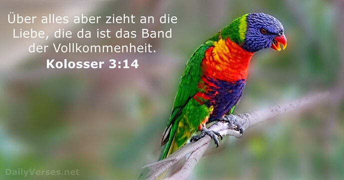 kolosser 3:14