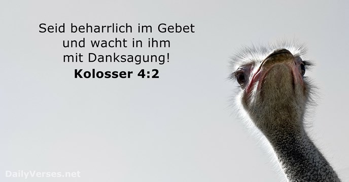 kolosser 4:2