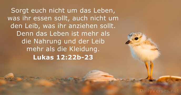 lukas 12:22b-23