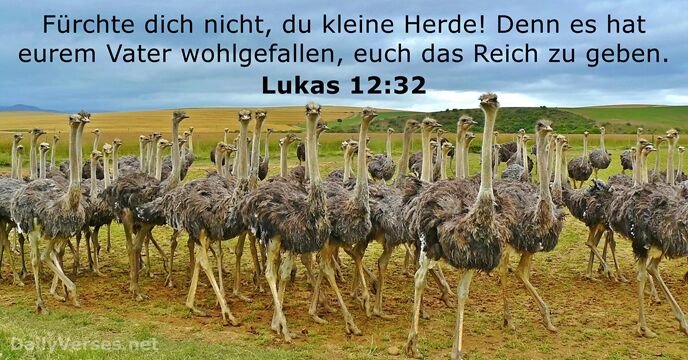 Lukas 12:32